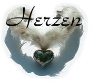 Herzen