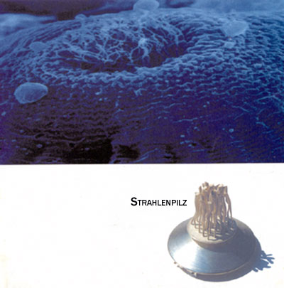 Thema: Brosche "Strahlenpilz" 925/000 Ag - Januar 2000