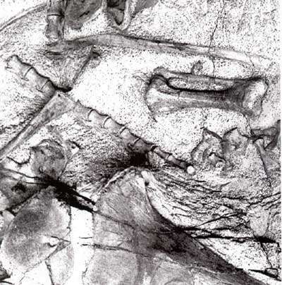 Kugelkette 925/000 - Januar 1998