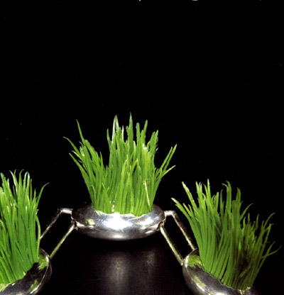 Graskette 925/000 - M&auml;rz 2000