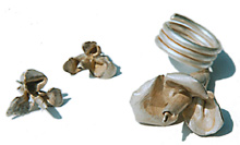 Ring  und Ohrringe - Blume 